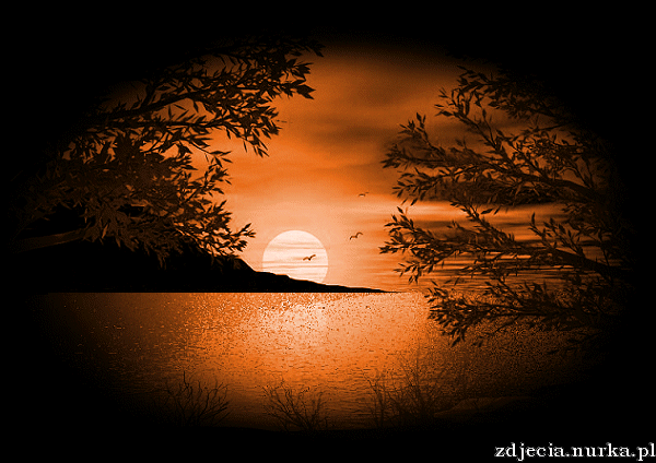 ##   Sekret   Milosci  ###     Milego   Wieczorku  ##