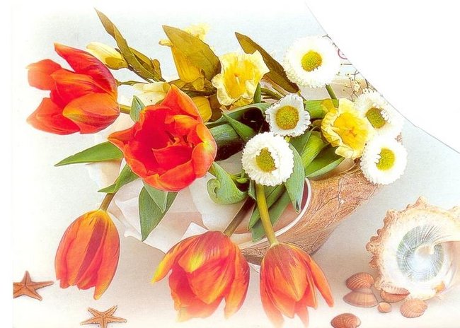 DLA ZNAJOMYCH I PRZYJACIÓŁ - ŁUCJA