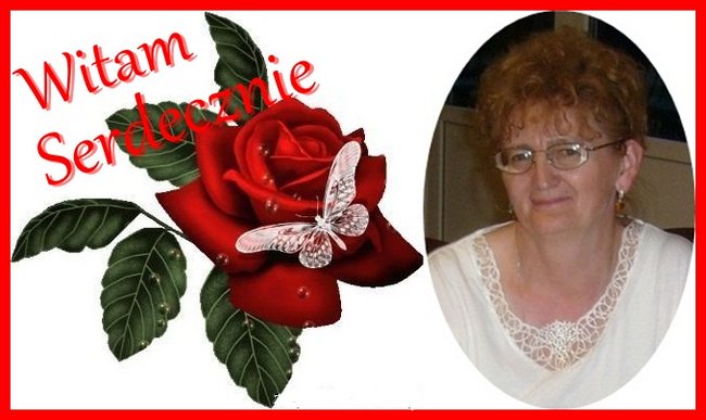 W   DNIU   URODZIN   ZYGMUNTA