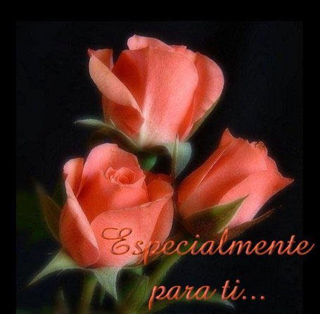 Szczęście jest jak promyk słońca, pukający do naszego wnętrza...