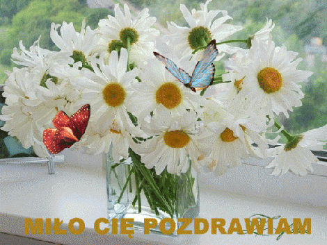 MIŁEGO  DNIA HALINKO !