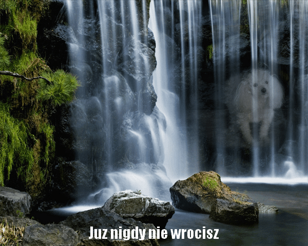 Twoj zal i smutek jest z nami