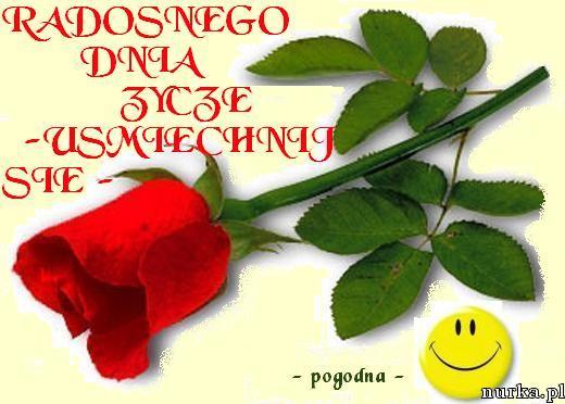 WIOSENNE POZDROWIENIA DLA PRZYJACIÓŁ I ZNAJOMYCH