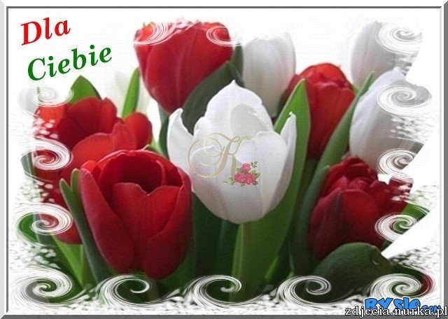 ###    MILUSIEGO  DZIONKA   ZYCZE  ###