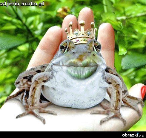 MOJA  MIŁOŚĆ ...................