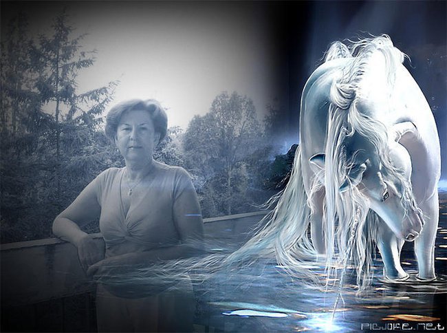 Z POZDROWIENIAMI DLA ANNY