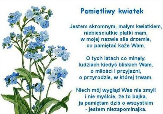 !5 Maj Dzien Polskiej Niezapominajki-Dla Przyjaciół