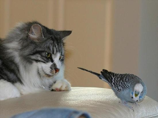 Życzę samych słonecznych myśli na dzisiejszy dzień.