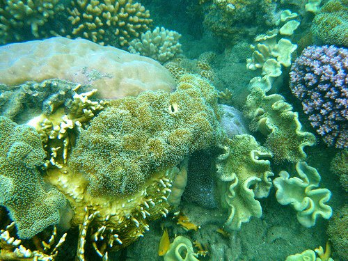 Z WIZYTĄ U POSEJDONA