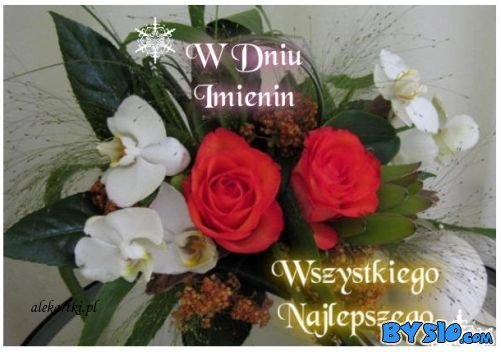 WSZYSTKIEGO NAJLEPSZEGO W DNIU IMIENIN STASIENCE ZYCZY DANKA