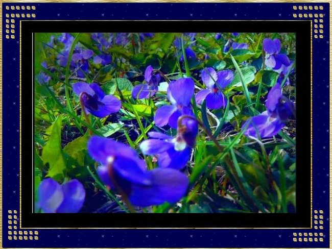 PODZIEKOWANIA DLA PRZYJACIOL Z NK.PL