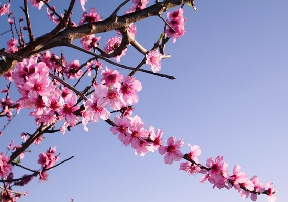 Wiosna, ach to TY !!