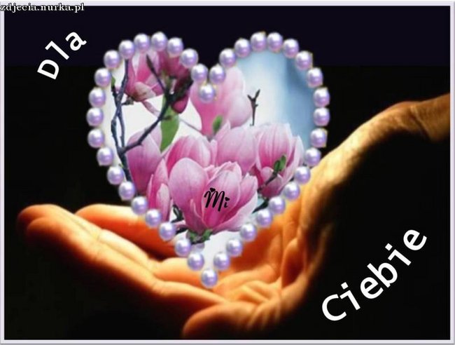 ##   DZIEN   MATKI ##   DLA  MOJEJ   TESCIOWEJ    