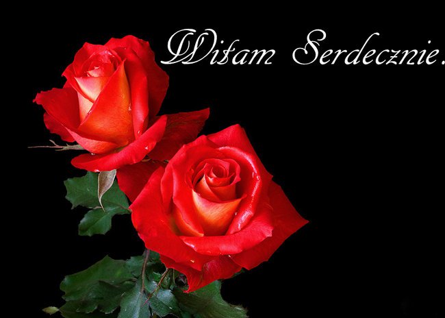 pozdrawiam cieplutko IRENKA