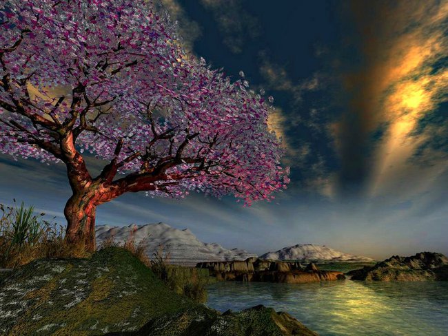 Wiele dróg do jednej nocy- agnieszkaboruch.