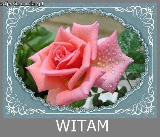 Dla Ciebie Kochana Jolu!!!