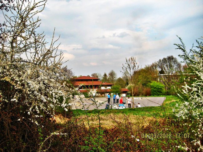 moje miasto i   -natura