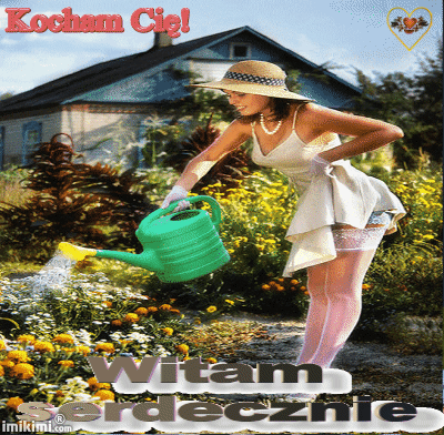 Noc          złamanych       serc