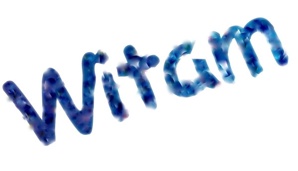 Ja i moja miejscowość