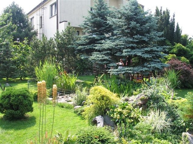 Ogrody nastrojów  lustro serca...