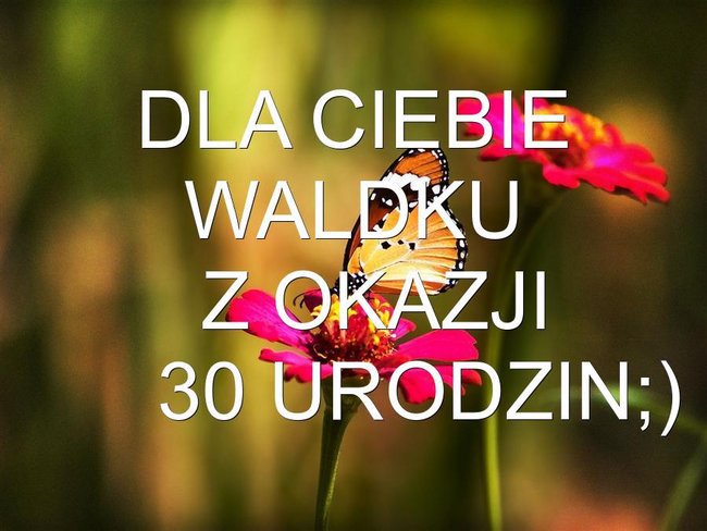Dla Waldka..z okazji 30 urodzin