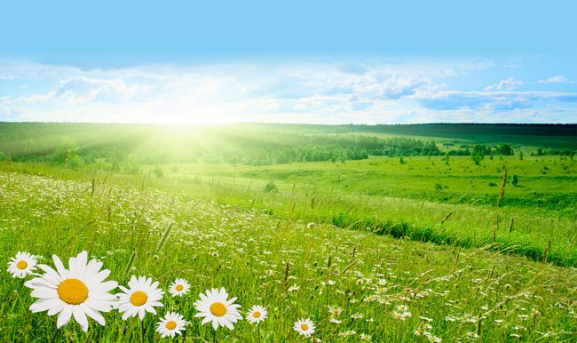 RADOSNA DZIEWCZYNA WIOSNĄ