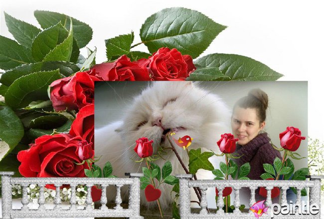 dla MOICH KOCHANYCH GWIAZDECZEK