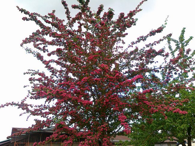 SŁODKICH SNÓW ŻYCZĘ CI SKARBUNIU !