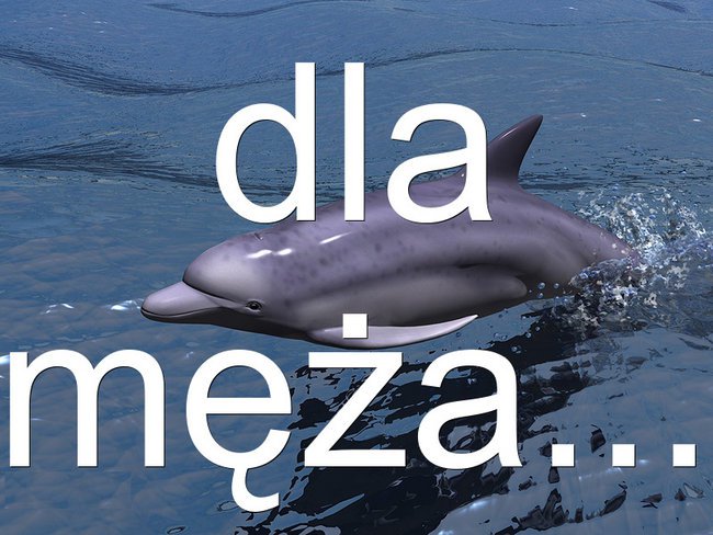 spotkanie z naturą.....