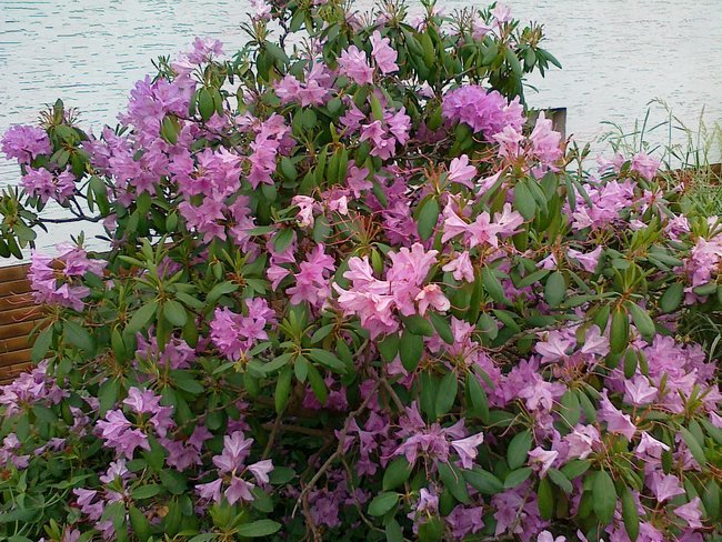 NA PAMIĄTKĘ POBYTU W NIEMCZECH DLA MOJEJ UKOCHANEJ MARYSI .