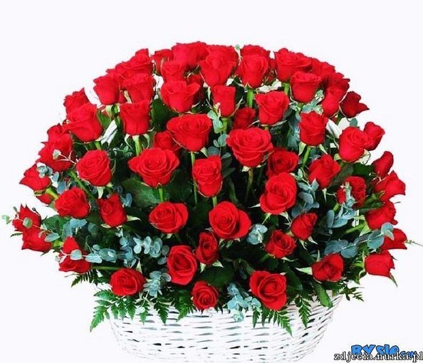 KOCHANA BOZENKO W DNIU TWOICH URODZIN