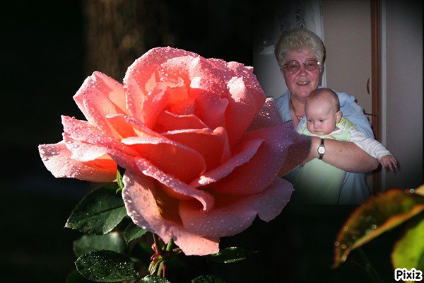 RENIU   GOLNAU -   WSZYSTKIEGO   NAJ  -  NAJLEPSZEGO   W  DNIU   URODZIN