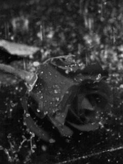 Czasem Wystarczą Krótkie  Dwa Słowa...  ...Pamiętam...Jestem...