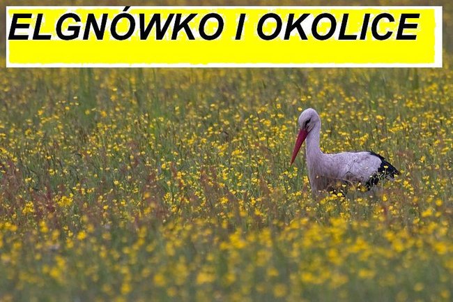 ELGNÓWKO I OKOLICE   au.Zbigniew S.(mispels)