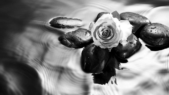 MIŁEGO DNIA ,MIŁEGO WIECZORU