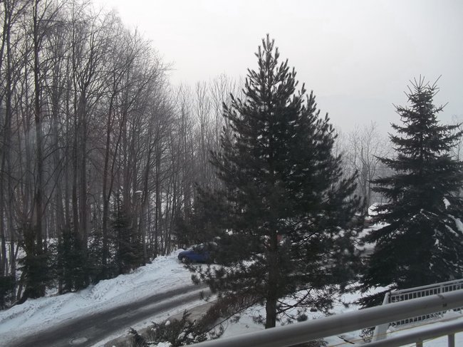 WITAM WAS KOCHANI  PRZYJACIELE