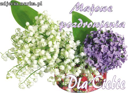 Pozdrowienia dla wszystkich .