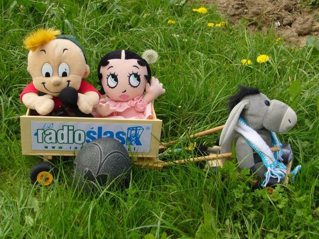 DEDYKUJE TEN SLAJDZIK WSZYSTKIM PRZYJACIOLOM RADIA SLASK.PL