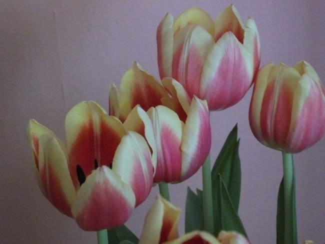 Ślub Kingi i Roberta