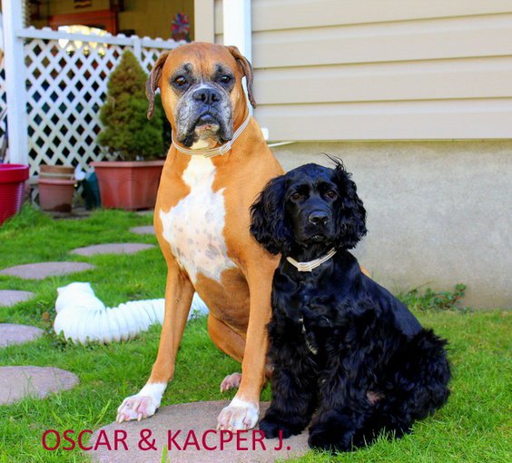 OSCAR & KACPER J