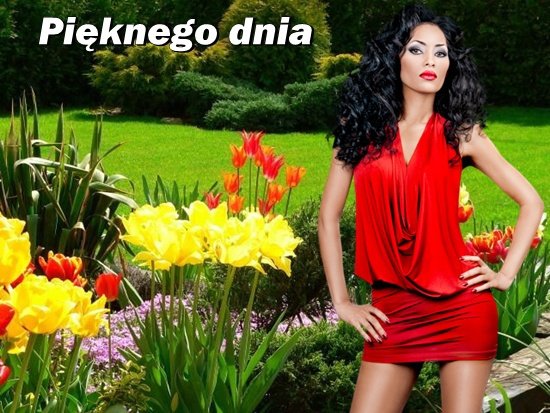 Tam     nasze     są       sny.