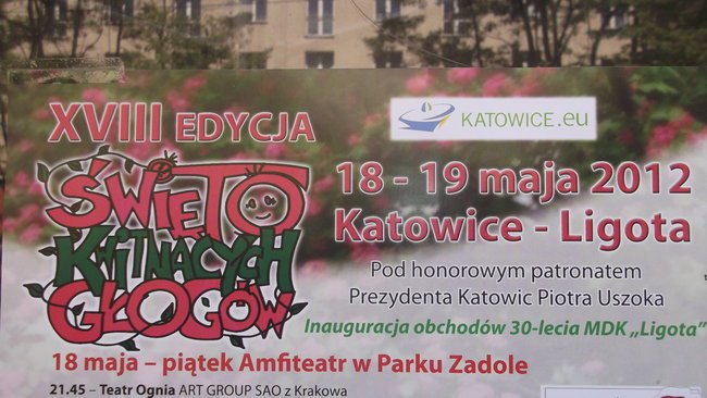 XVIII edycja ŚWIĘTA KWITNĄCYCH GŁOGÓW