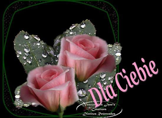 WSZYSTKIEGO NAJLEPSZEGO