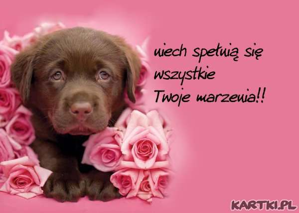 Wszystkiego Najlepszego kochanie