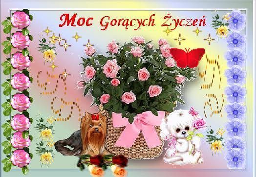 MOI KOCHANI PRZYJACIELE JANY I JANINNY