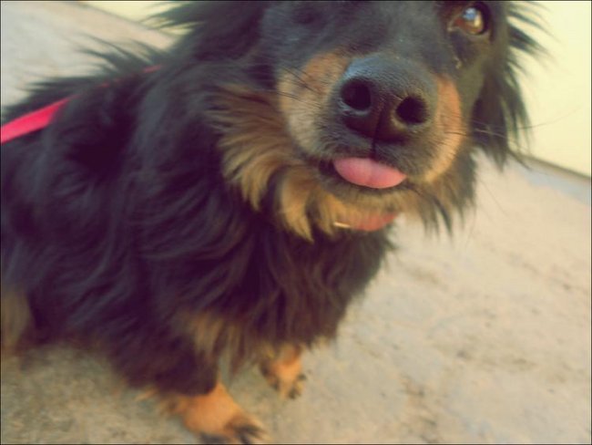 Kocham cię na Forever.  < 3