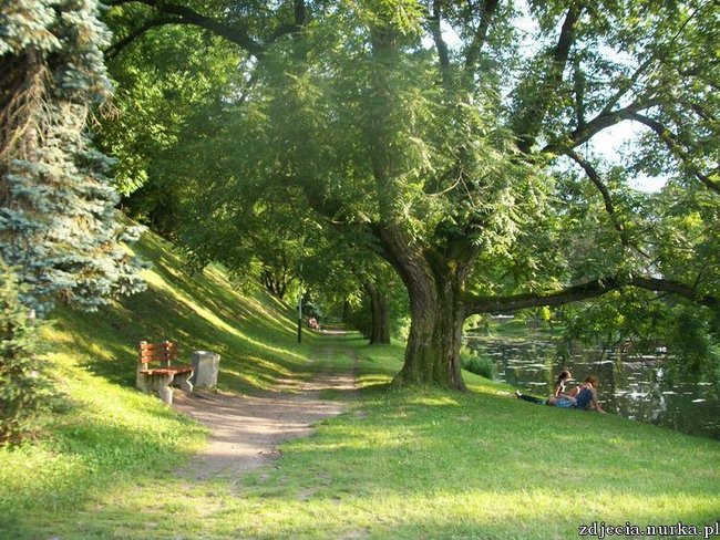 DLACZEGO   TO  TAK  ?  -   BUZIACZKI