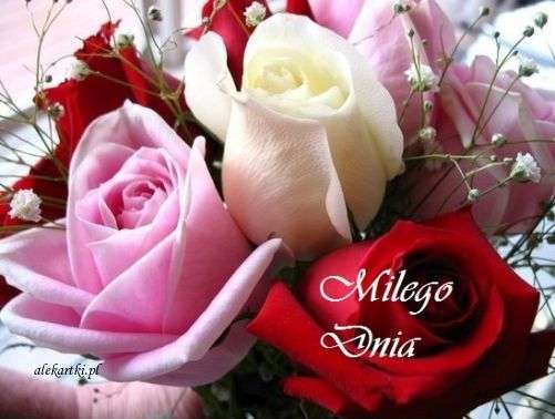 JAK PRZEŻYĆ WSZYSTKO JESZCZE RAZ:)))