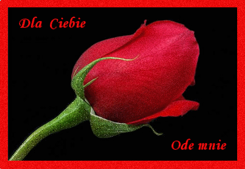 POZDRAWIAM CIEPLUTKO CIĘ-BUZIAKI SLĘ