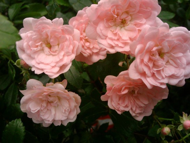 Dla Ciebie jestem ja......................:))